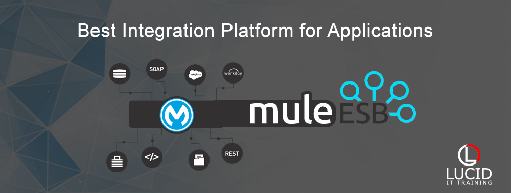 Mulesoft Training in Hyderabad